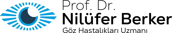Prof. Dr. Nilüfer Berker